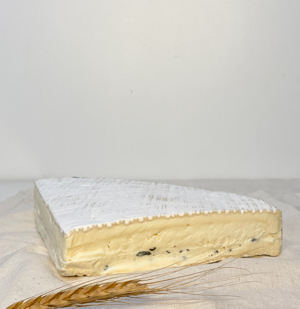 Brie de Meaux con trufa