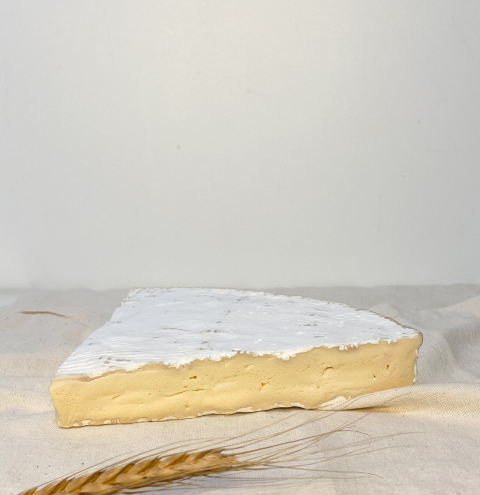 Brie de Meaux